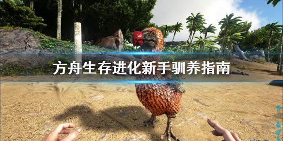 方舟生存进化新人怎么驯养 方舟生存进化新手怎么驯服