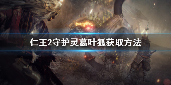 仁王2守护灵葛叶狐怎么拿（仁王2守护灵楚叶矢）