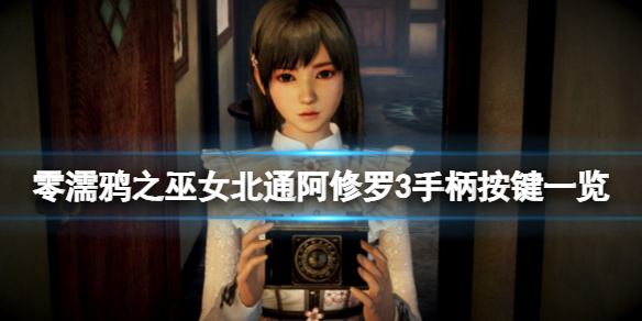 零濡鸦之巫女手柄按键有哪些 wiiu零濡鸦之巫女不能用pro手柄吗