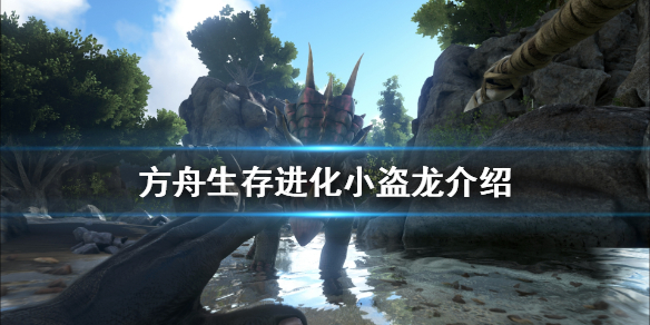 方舟生存进化小盗龙有什么用 方舟生存进化小盗龙有什么用处