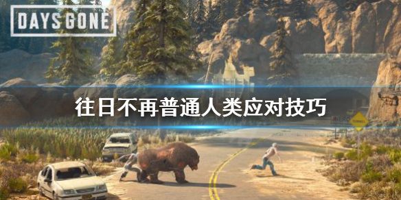 往日不再普通人类怎么打 往日不再任务100%