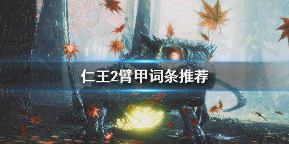 仁王2臂甲词条怎么选 仁王2刷臂甲