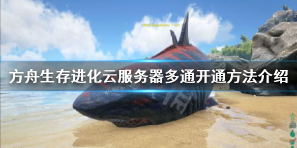 方舟生存进化怎么开服务器（方舟生存进化怎么开服务器?）