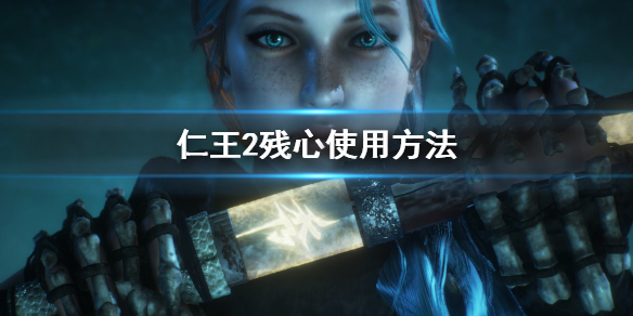 仁王2残心怎么用（仁王残心怎么用pc）