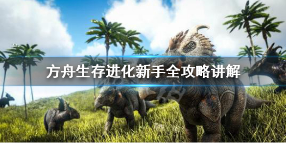 方舟生存进化新手怎么玩（方舟生存进化新手玩哪个图）