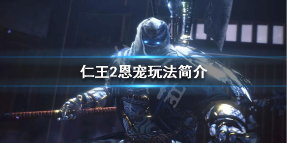 仁王2恩宠是什么意思（仁王2恩宠效果在哪里看）