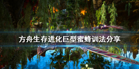 方舟生存进化巨型蜜蜂怎么训（方舟巨型蜜蜂有什么用）