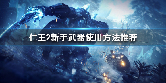 仁王2武器怎么选择（仁王2武器怎么选择属性）