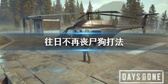 往日不再狼怎么应对（往日不再狼吓人）