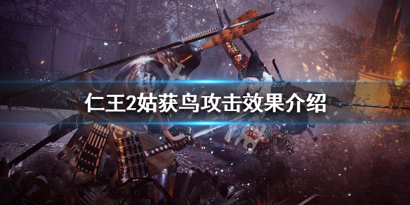 仁王2姑获鸟技能是什么（仁王2鸟怎么打）
