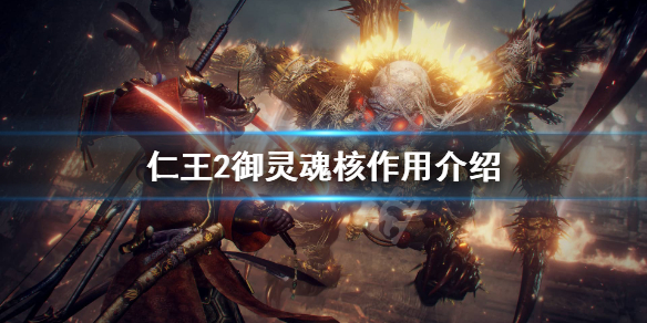 仁王2御灵魂核有什么用（仁王2御灵的魂核继承词条）