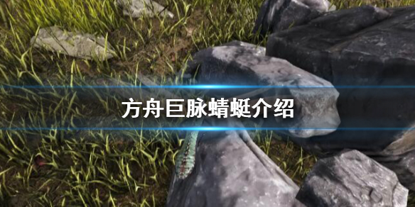 方舟巨脉蜻蜓哪里多 方舟生存进化手游巨脉蜻蜓掉落
