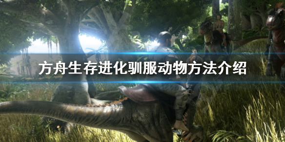 方舟生存进化火蜥蜴怎么驯服（方舟火蜥蜴鞍）
