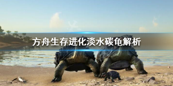 方舟淡水碳龟有什么用 方舟淡水碳龟怎么驯服吃什么