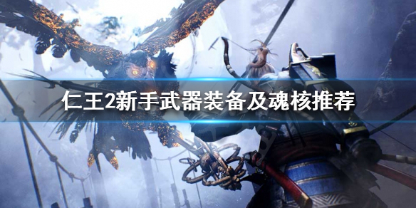 仁王2新手该怎么开荒（仁王2新手开局）