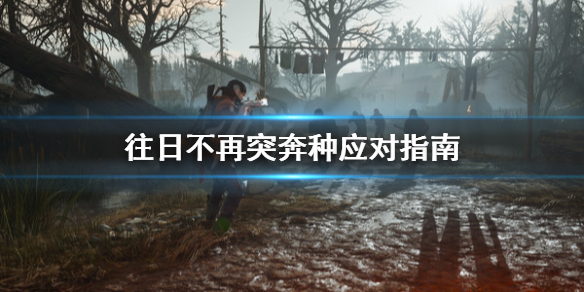 往日不再突奔种是什么（往日不再探索突奔）