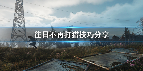 往日不再鹿肉怎么刷 往日不再怎么找鹿