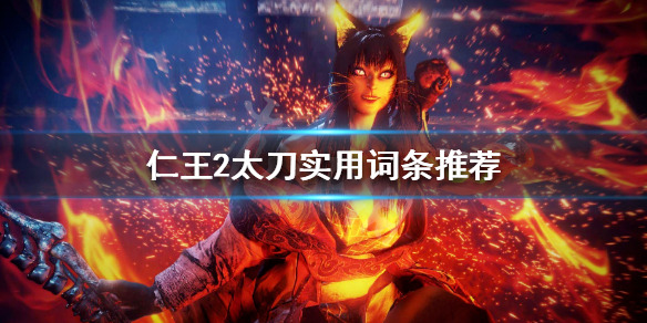 仁王2太刀用什么词条 仁王2太刀什么词条好