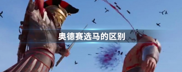 奥德赛选马的区别 奥德赛的马选哪个