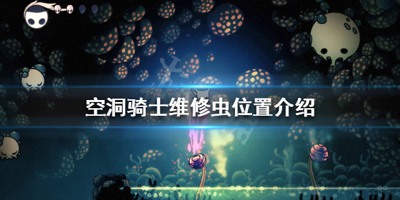 空洞骑士维修虫在哪（空洞骑士维修虫在哪里刷）
