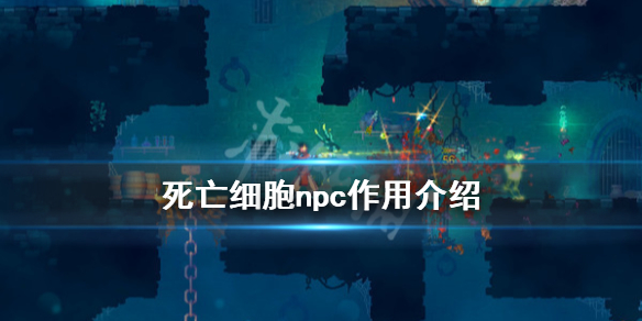 死亡细胞npc大全（死亡细胞npc大全图片）