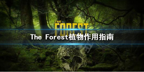 森林游戏植物有什么用 森林游戏植物位置