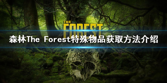 森林特殊物品有哪些 森林特殊物品有哪些图片