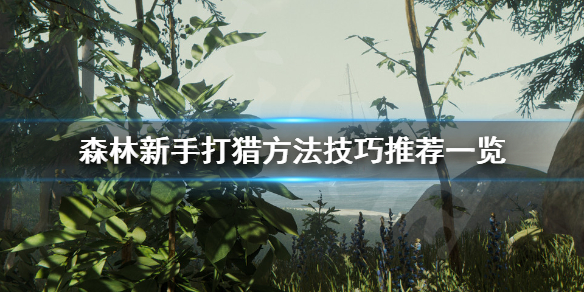 森林怎么打猎（森林如何打猎）