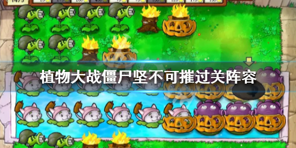 植物大战僵尸坚不可摧怎么过（植物大战僵尸坚不可摧怎么过去）