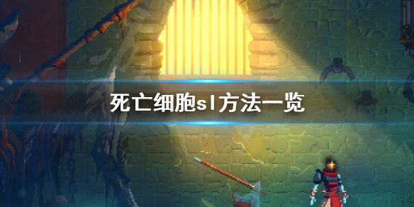 死亡细胞sl是什么意思（死亡细胞 sl）