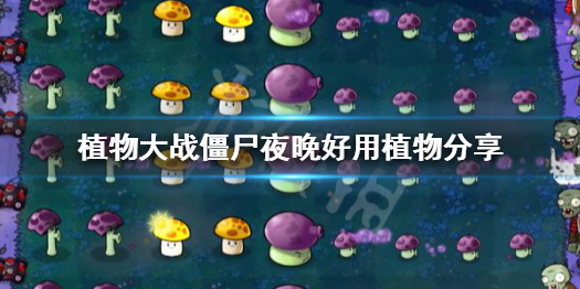 植物大战僵尸夜晚用什么植物 植物大战僵尸夜晚用什么植物打