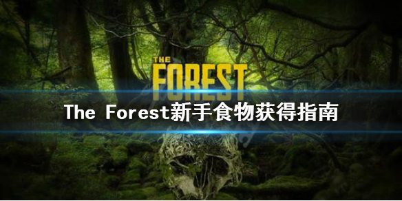 森林食物怎么获得 森林食物图鉴