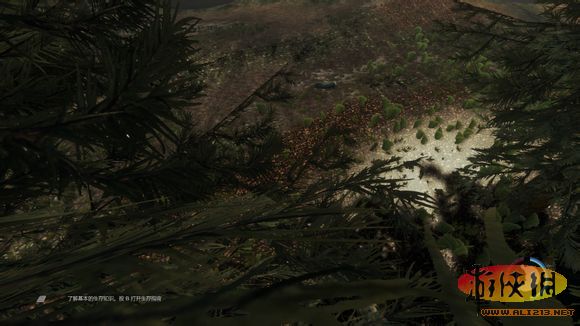 《森林》bug武器信号枪获取方法（森林信号弹怎么刷）