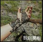 森林正式版防具汇总一览（森林防具攻略）