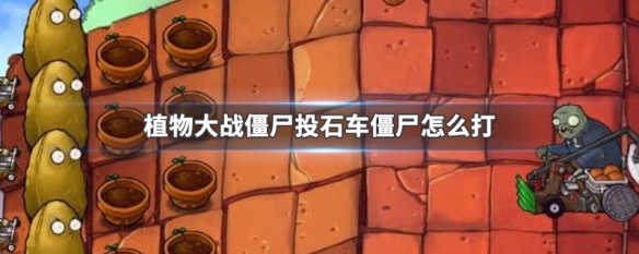 植物大战僵尸投石车僵尸怎么打（植物大战僵尸投石车僵尸简笔画）