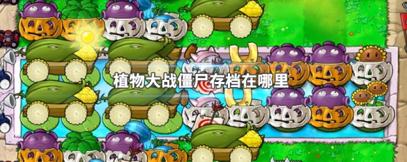 植物大战僵尸存档在哪里（植物大战僵尸存档在哪里win7）