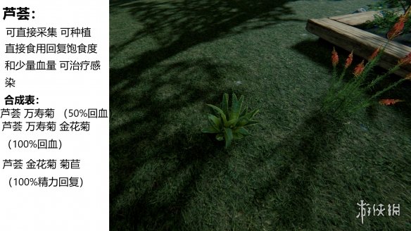 森林游戏植物有什么 the forest植物图鉴分享
