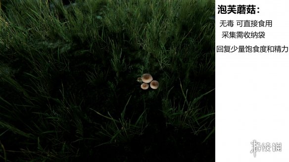 森林游戏植物有什么 the forest植物图鉴分享