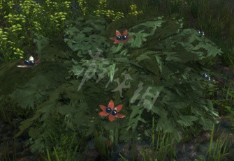 森林游戏植物有什么用 The Forest植物作用指南