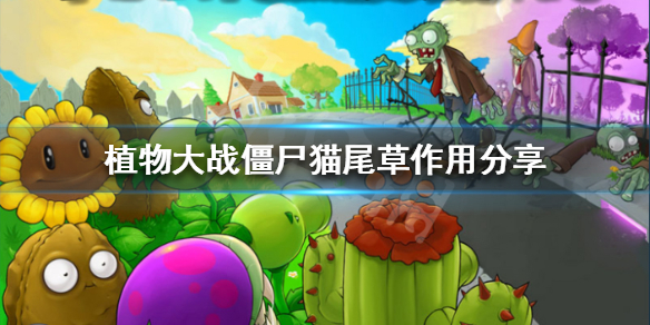 植物大战僵尸猫尾草获得方法介绍 植物大战僵尸猫尾草在哪里获得