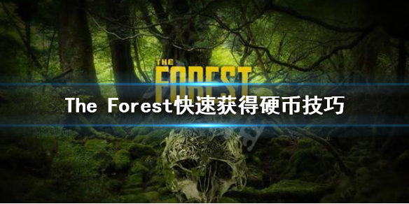 森林游戏如何获得硬币（森林游戏硬币在哪里）
