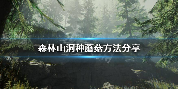 森林怎么在山洞种蘑菇 森林怎么在山洞种蘑菇呢