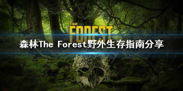 森林如何在野外生存（如何在森林里生存）