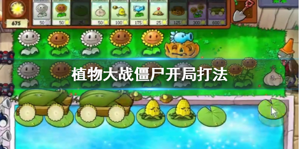 植物大战僵尸开局怎么打（植物大战僵尸开局技巧）