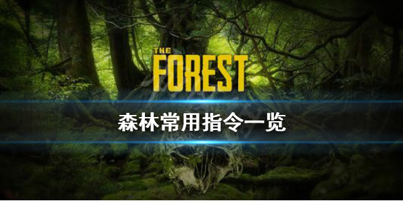 森林游戏常用指令有哪些（森林游戏代码怎么用）