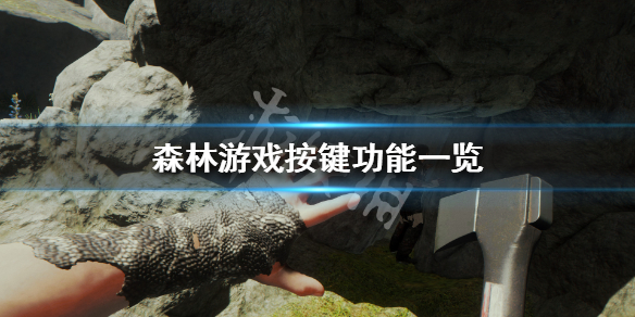 森林游戏怎么操作（森林游戏怎么操作手柄）