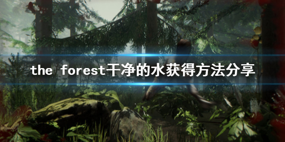 森林游戏干净的水怎么弄 森林游戏怎么净化水