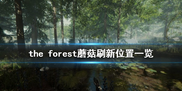 森林蘑菇在哪找 森林怎么采蘑菇