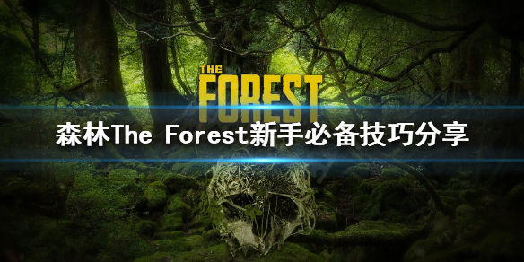 森林新手怎么玩 森林新手入门
