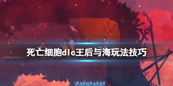 死亡细胞王后与海地图怎么玩 死亡细胞2.5王后